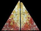 Red/Yellow Jasper Replaced Petrified Wood Bookends - Oregon #56042-1